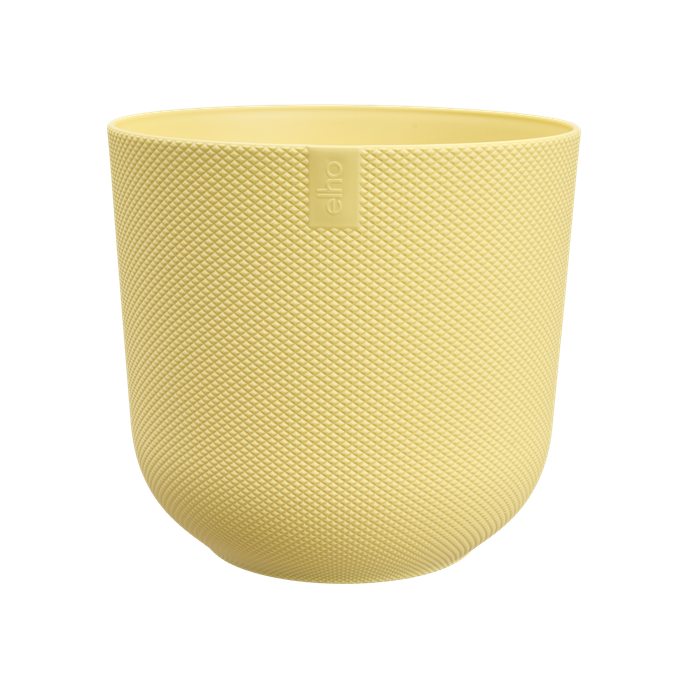 jazz rond 14cm cream yellow